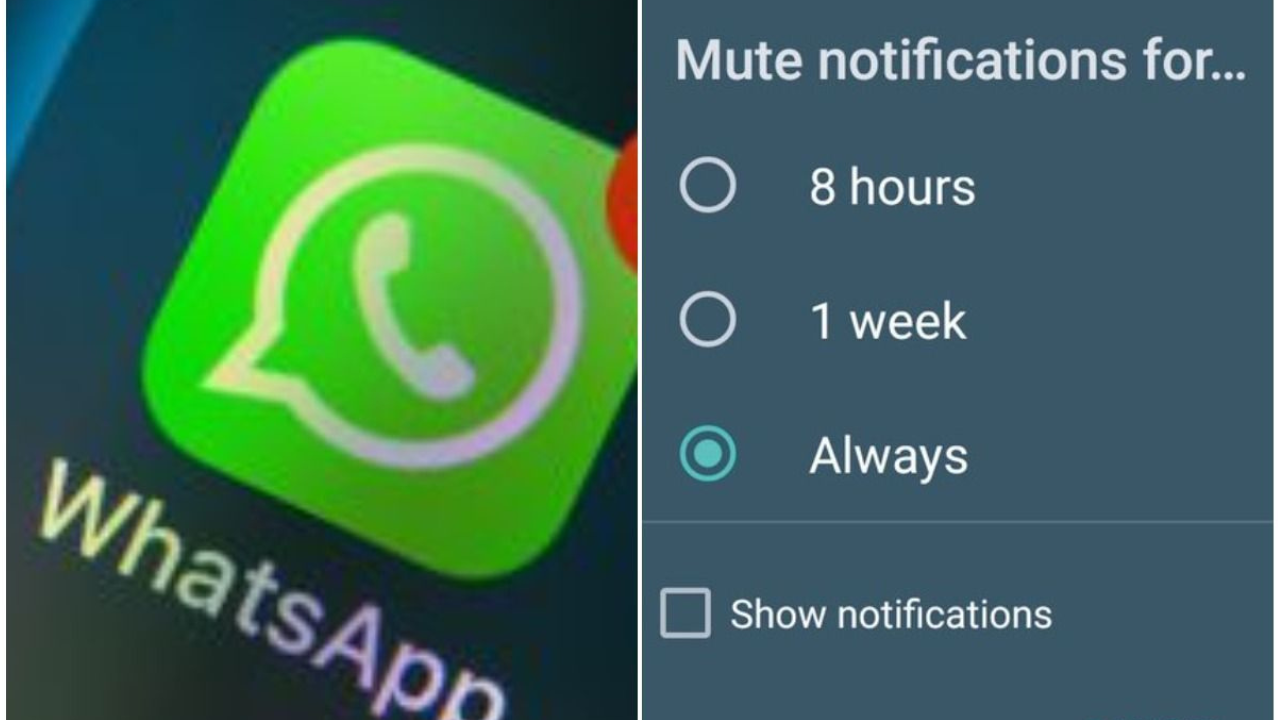 What Does Muting on Whatsapp Do