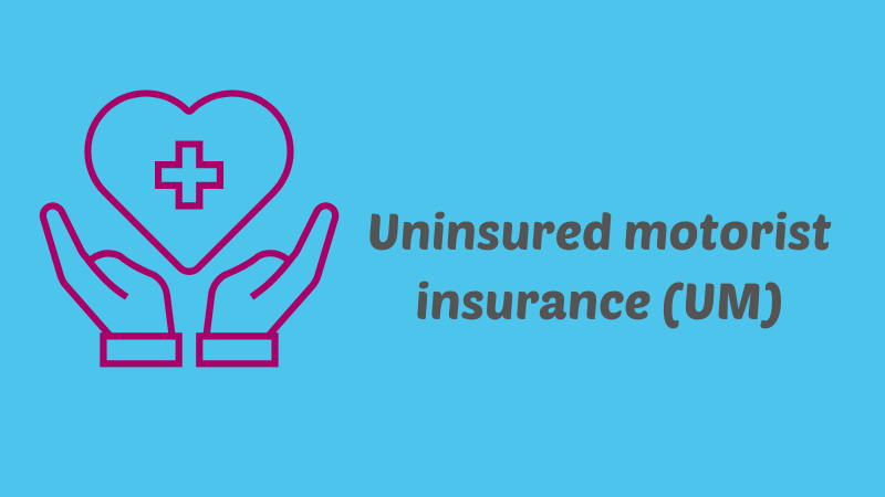 Uninsured motorist insurance (UM)